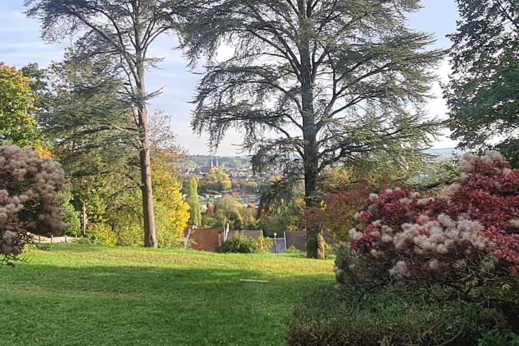Loft Les Deux Cedres Avec Vue Panoramique Lägenhet Charleville-Mézières Exteriör bild
